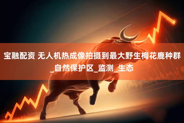宝融配资 无人机热成像拍摄到最大野生梅花鹿种群_自然保护区_监测_生态